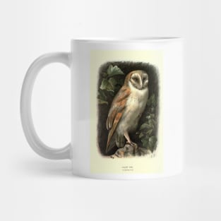 Barn Owl Mug